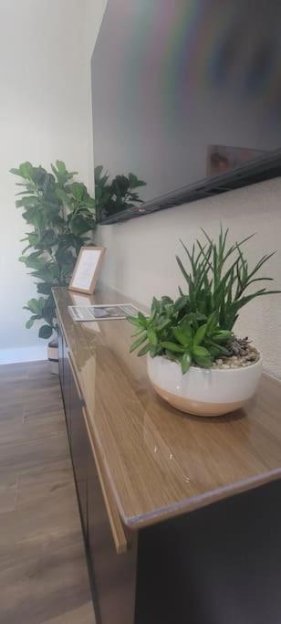 Alluring Luxury Oasis, Modern Comfort & Relaxation Wellington